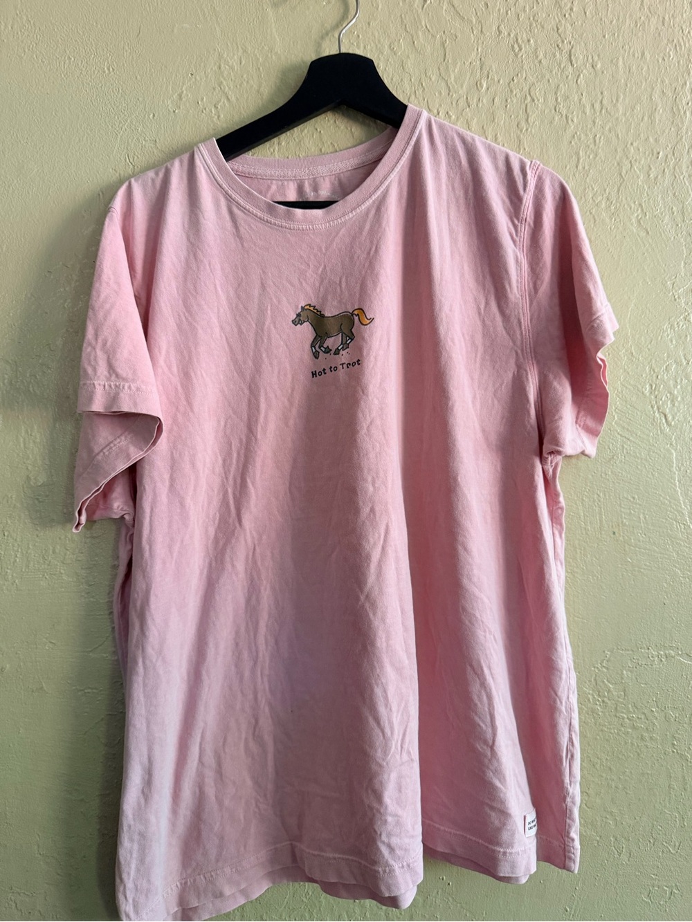 Life Is Good Soft Pink Graphic Tee with White Logo Hot to Trot